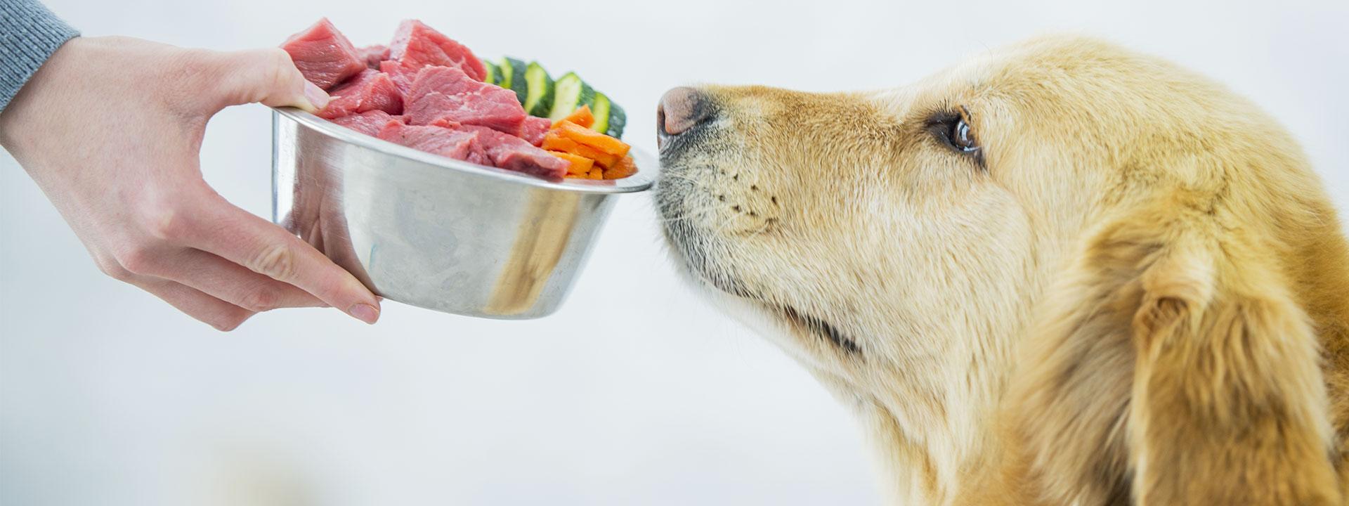 Натуральная еда для собак